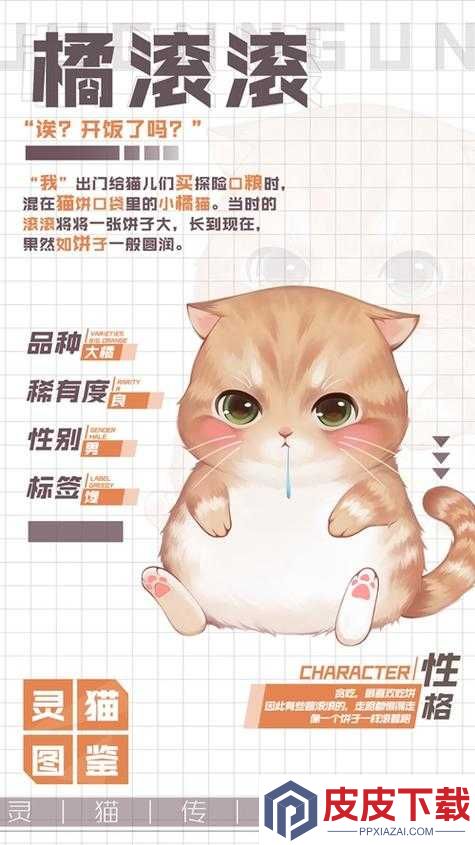 灵猫传橘苗苗究竟如何
