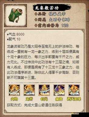 烟雨江湖龙象般若功十重属性究竟如何