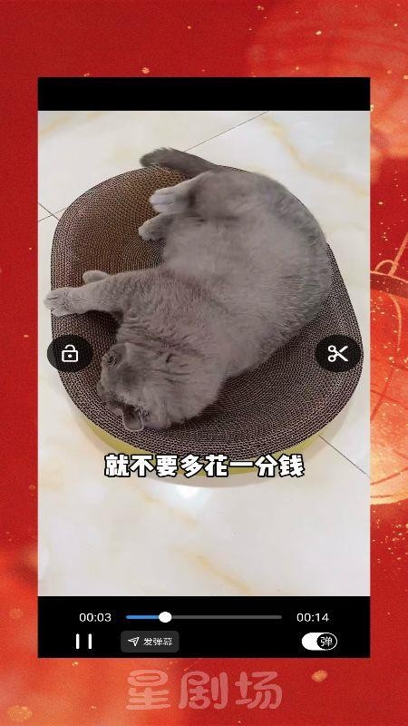 星剧场免费影视大全播放器app下载