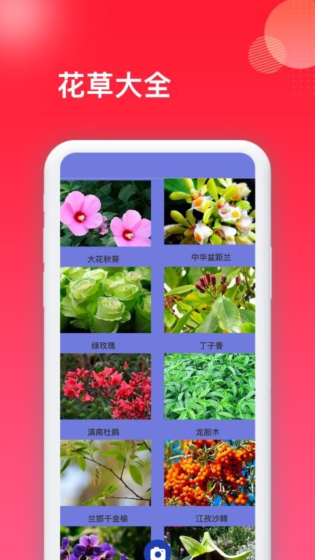花百科app下载