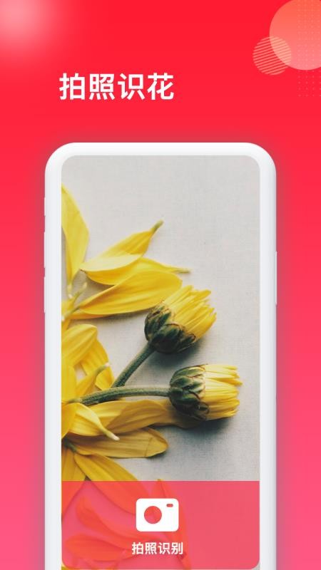 花百科app下载