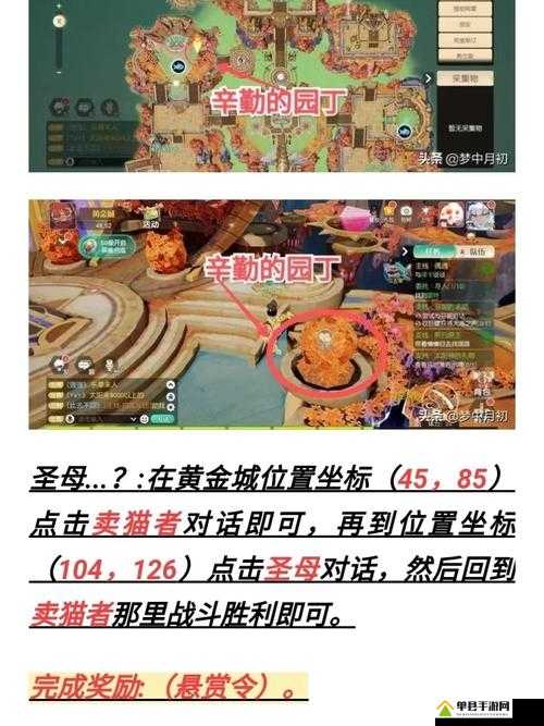 如何完美攻略梦想新大陆圣母奇遇任务？探索其完成技巧与演变历程