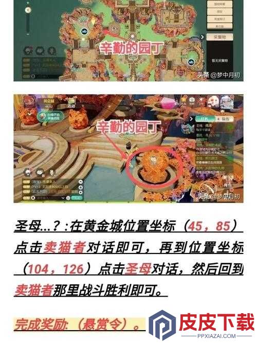 如何完美攻略梦想新大陆圣母奇遇任务