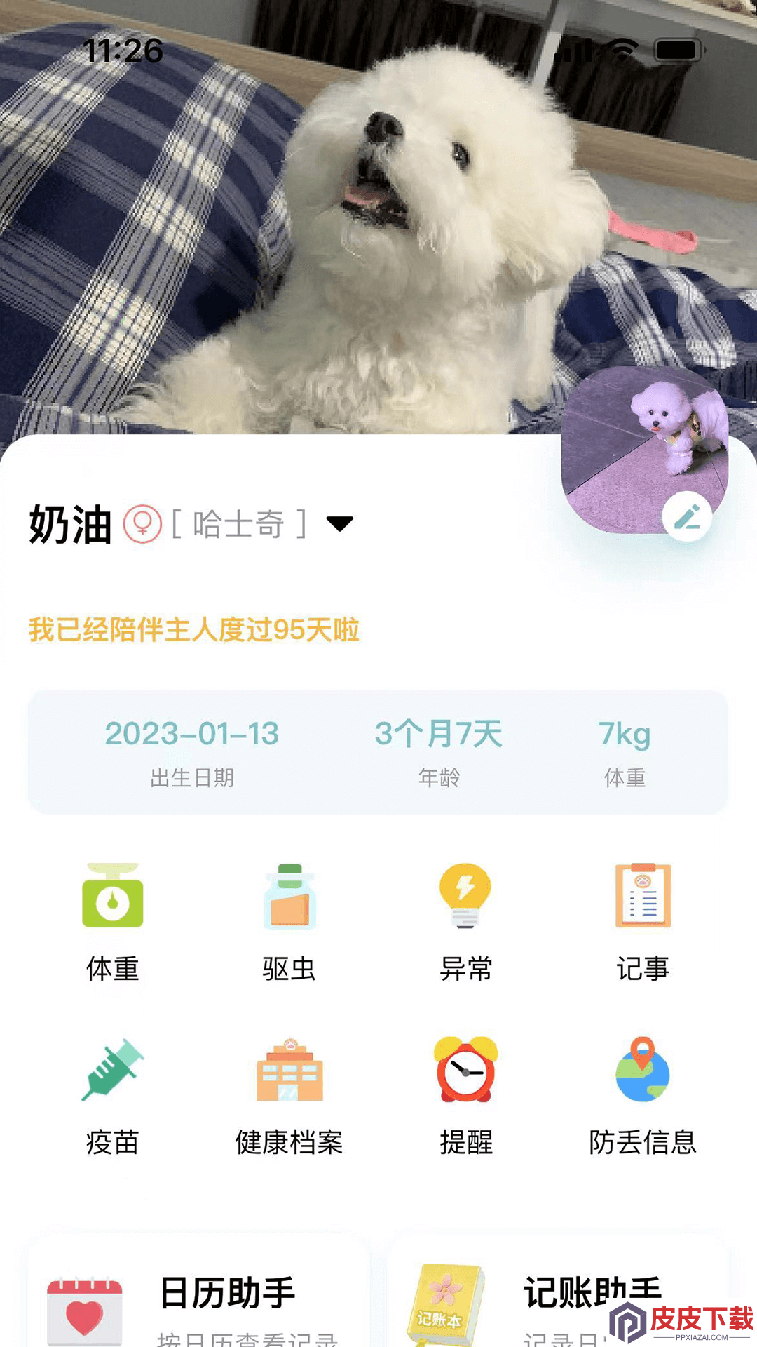 述宠app安装免费版下载