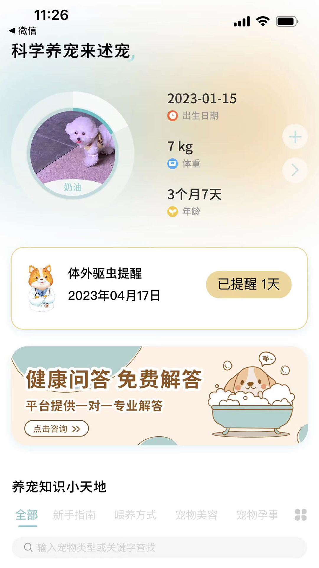 述宠app安装免费版下载