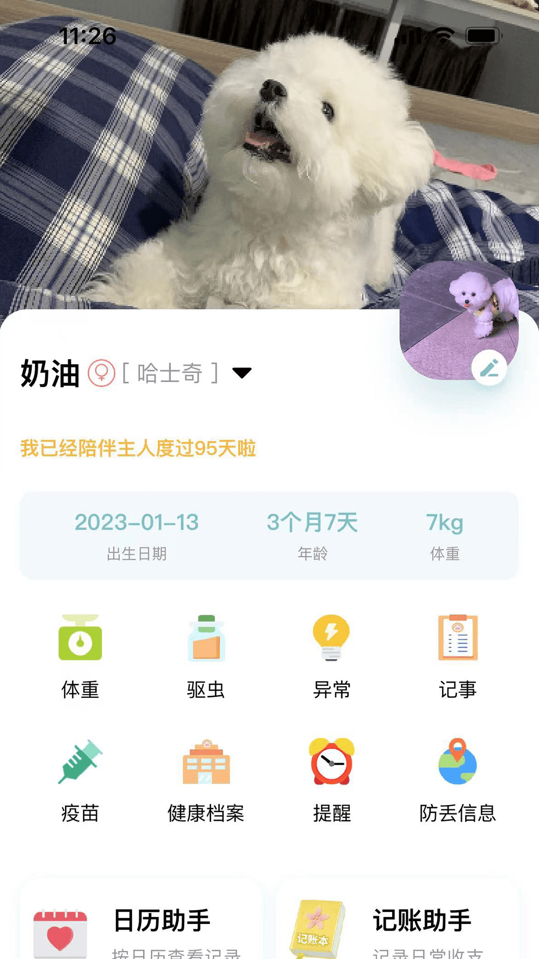 述宠app安装免费版下载