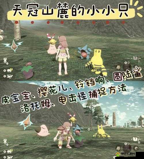 像素时代如何高效抓兔子？打猎技巧与攻略大揭秘！