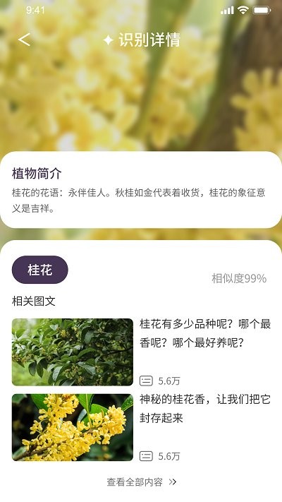 我的开心花园app下载