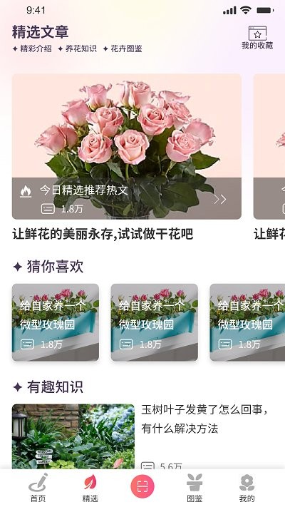 我的开心花园app下载