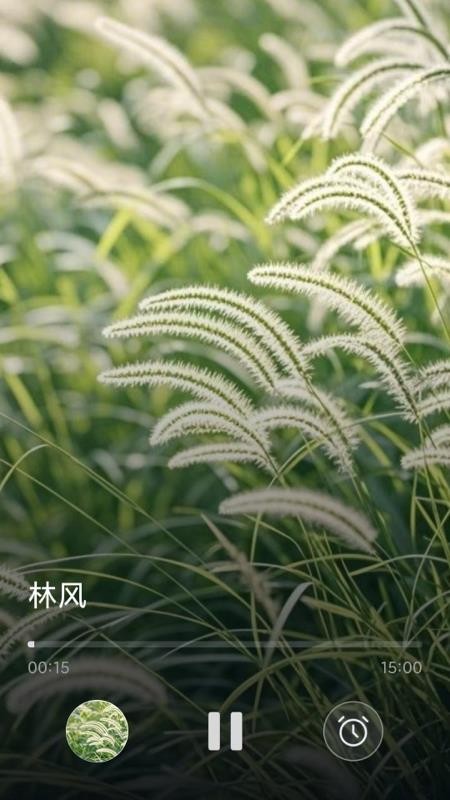 轻诉心舟app下载官网版