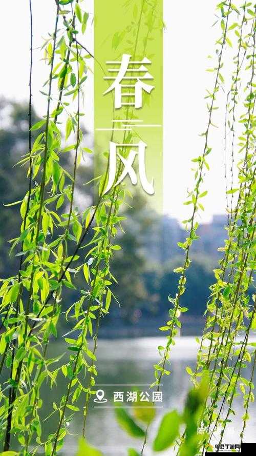 50 岁的春天，手机成了他的第二春