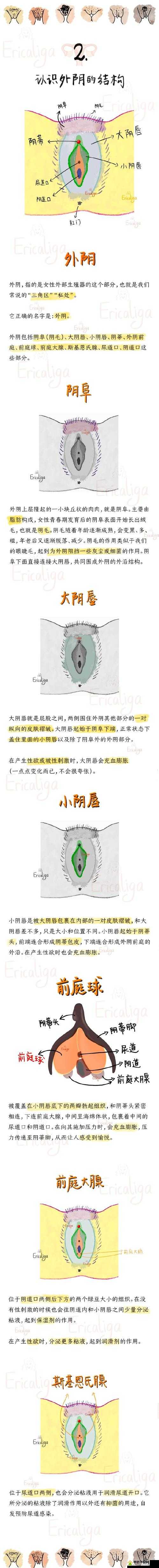 呦小性 5 一 8ⅩXX 究竟是什么？带你深入了解其背后的秘密与特点