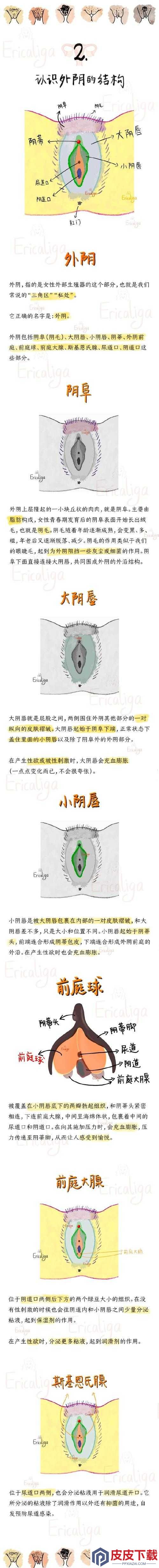 呦小性