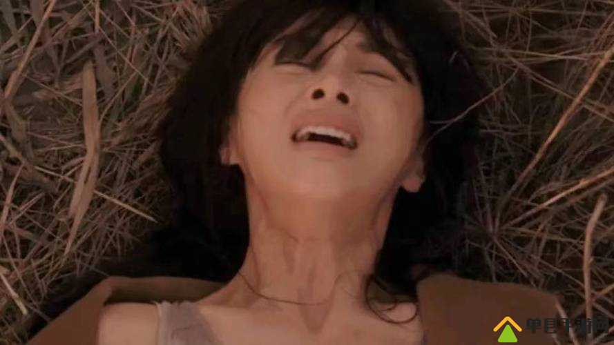 18+日本？是指限制级影片吗？
