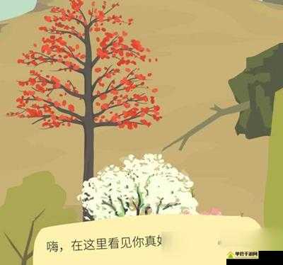 老农种树名字里藏着哪些神秘符号？全面解析符号及游戏奥秘