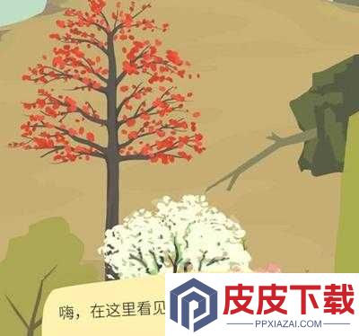老农种树名字里藏着哪些神秘符号
