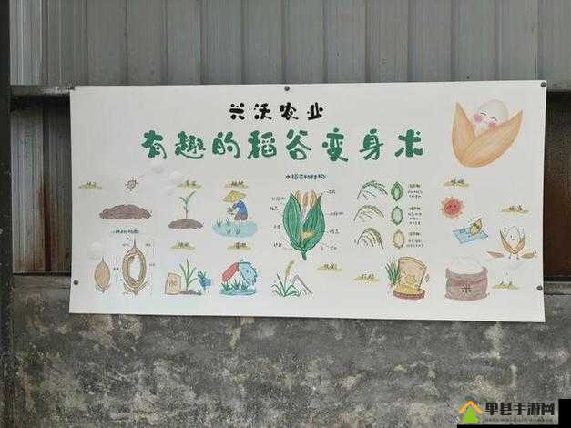 老农种树秘籍揭秘，种子如何一步步长成参天大树，种植攻略经历了哪些变革？