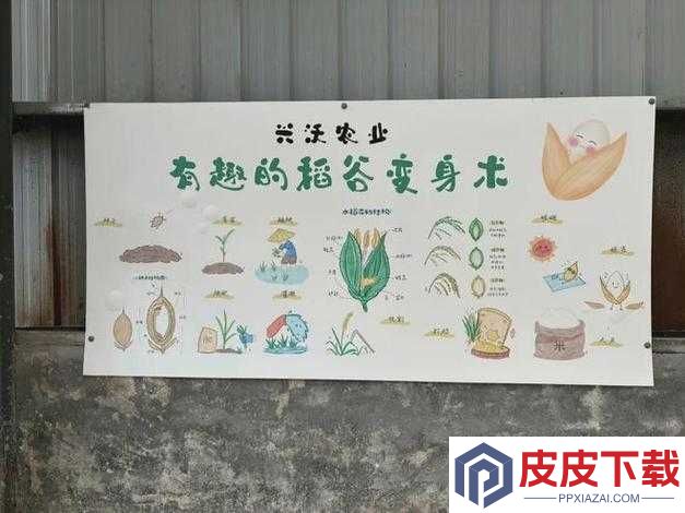 老农种树秘籍揭秘