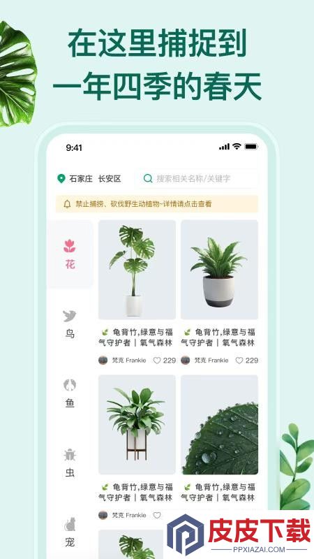 花鸟鱼虫app最新版下载