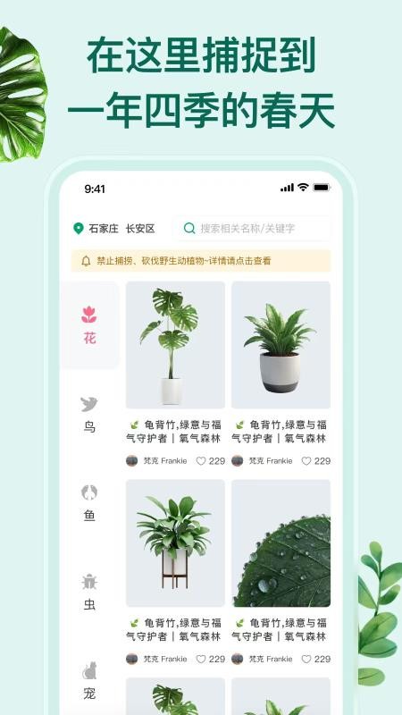 花鸟鱼虫app最新版下载