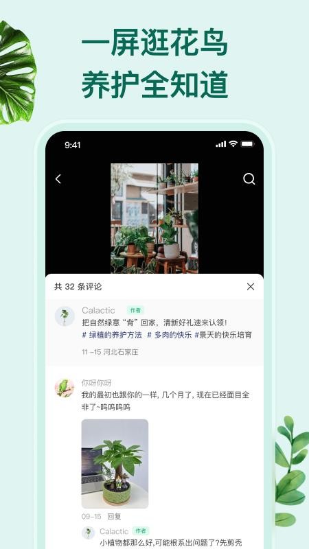 花鸟鱼虫app最新版下载