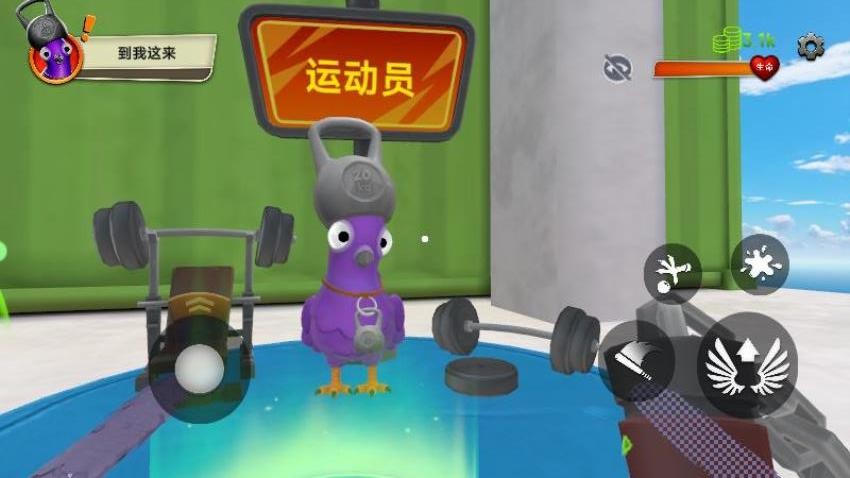 模拟鸽子手游最新版下载