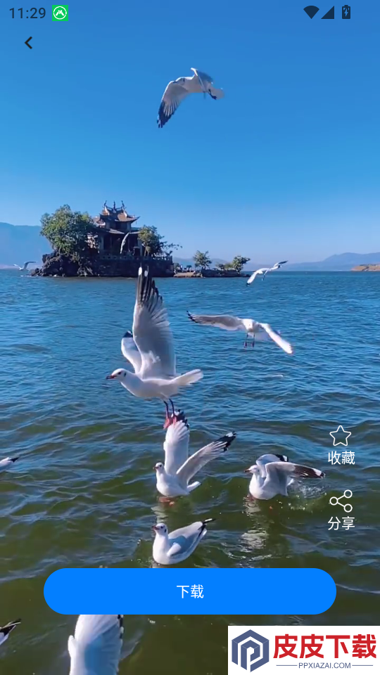 主题免费壁纸志慧app下载