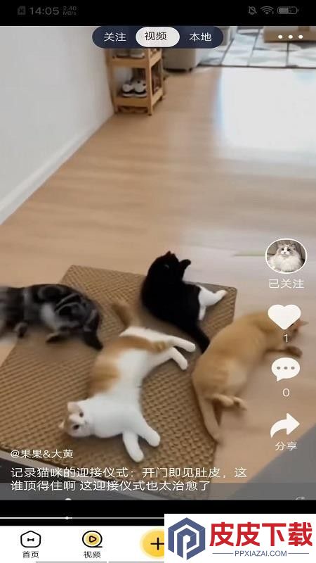 养宠汇app破解版下载