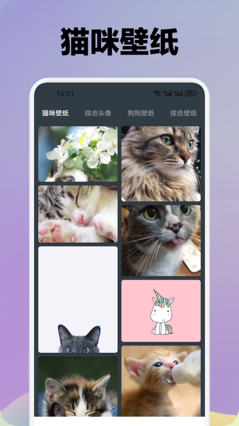 我家猫舍app免费版下载