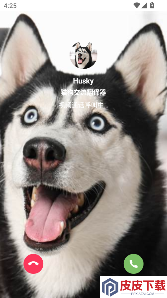 猫狗交流翻译器APP免费版下载