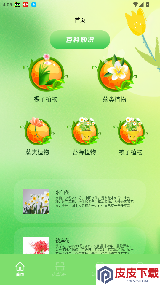 花开朵朵app最新版下载安装