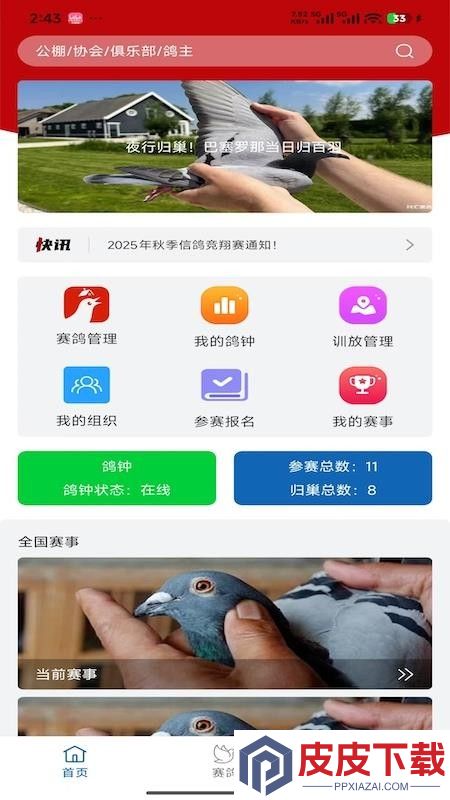 科汇赛鸽app下载