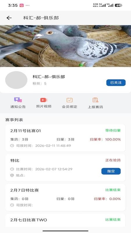 科汇赛鸽app下载