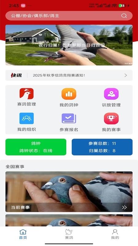 科汇赛鸽app下载