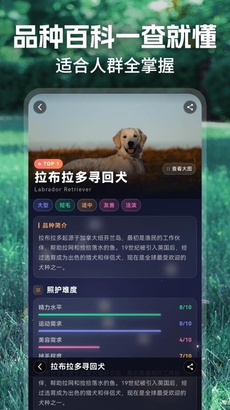 动物翻译官宠物记录app下载