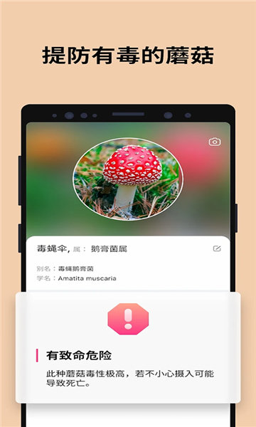 Picture Mushroom软件安装免费版下载