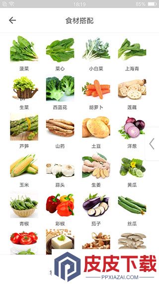 掌厨app官方版下载