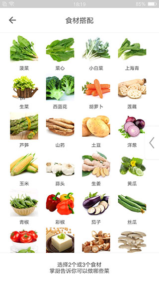 掌厨app官方版下载