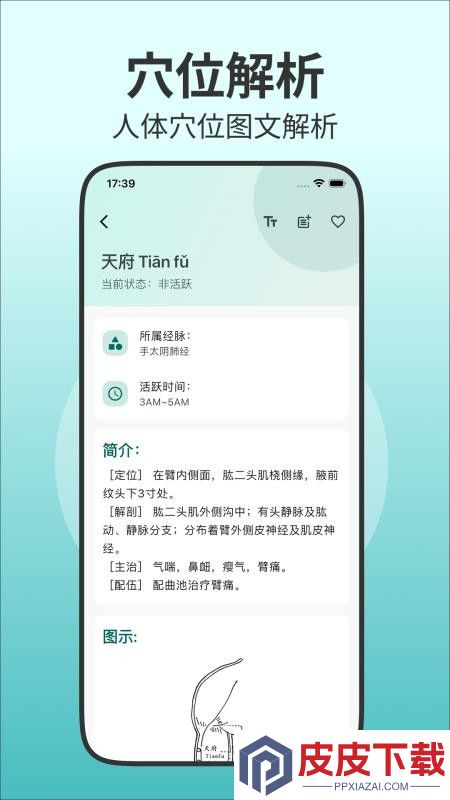 人体穴位图解app下载