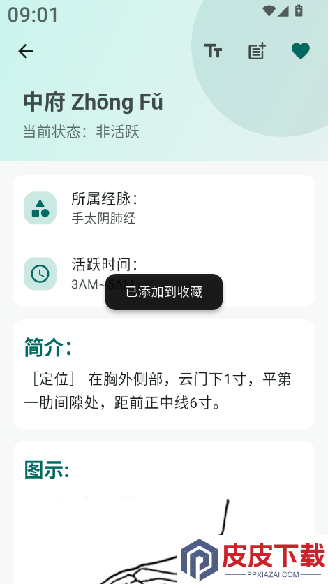 人体穴位图解app下载
