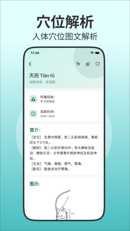 人体穴位图解app下载
