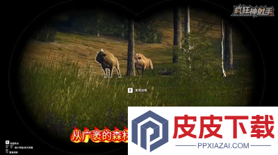 疯狂神射手礼包码微信小程序