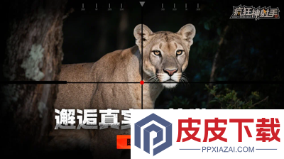 疯狂神射手礼包码微信小程序