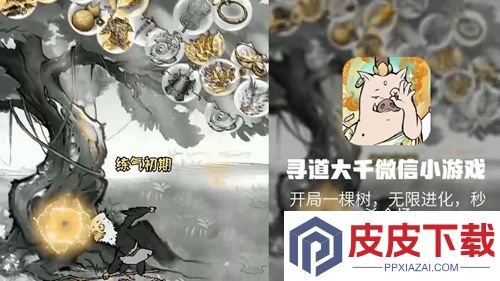 寻道大千兑换码11月合集