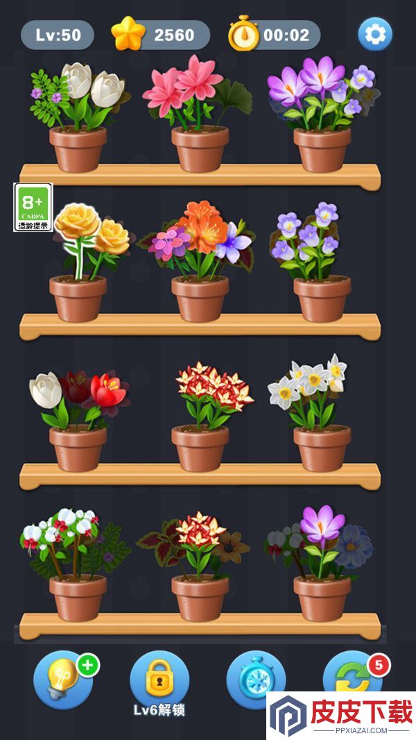 花花消一消手游下载