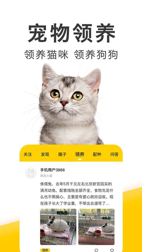 有只宠物app破解版下载