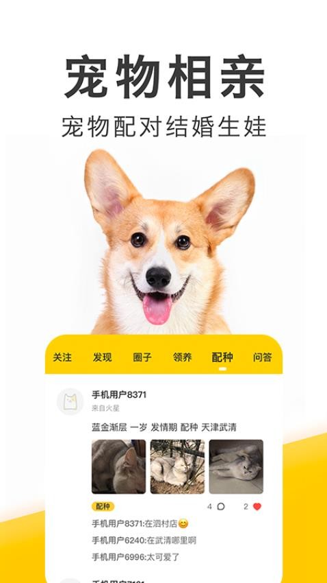 有只宠物app破解版下载