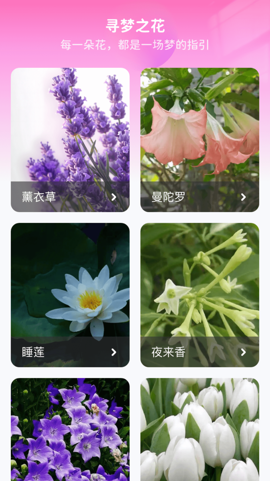 花海寻梦app官方版下载