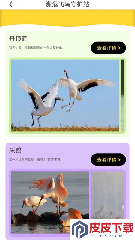 鸟语星球app官方版下载