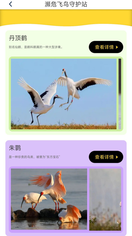 鸟语星球app官方版下载